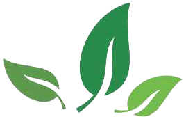 Evergreen Education Trust
